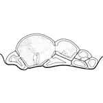 Drawing of bulbous cells with standing and reclining figures in the spaces.