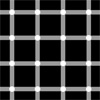 Optical illusion of white grid on black background, with apparent flashing black dots in the grid crossings.